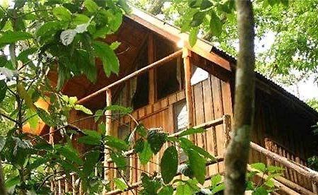Bayrams Tree Houses Olympos Exterior foto