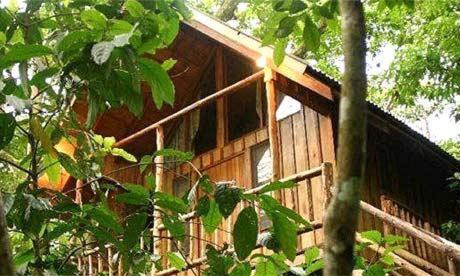 Bayrams Tree Houses Olympos Exterior foto