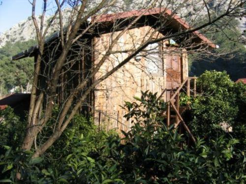 Hotel Bayrams Tree Houses Olympos Zimmer foto